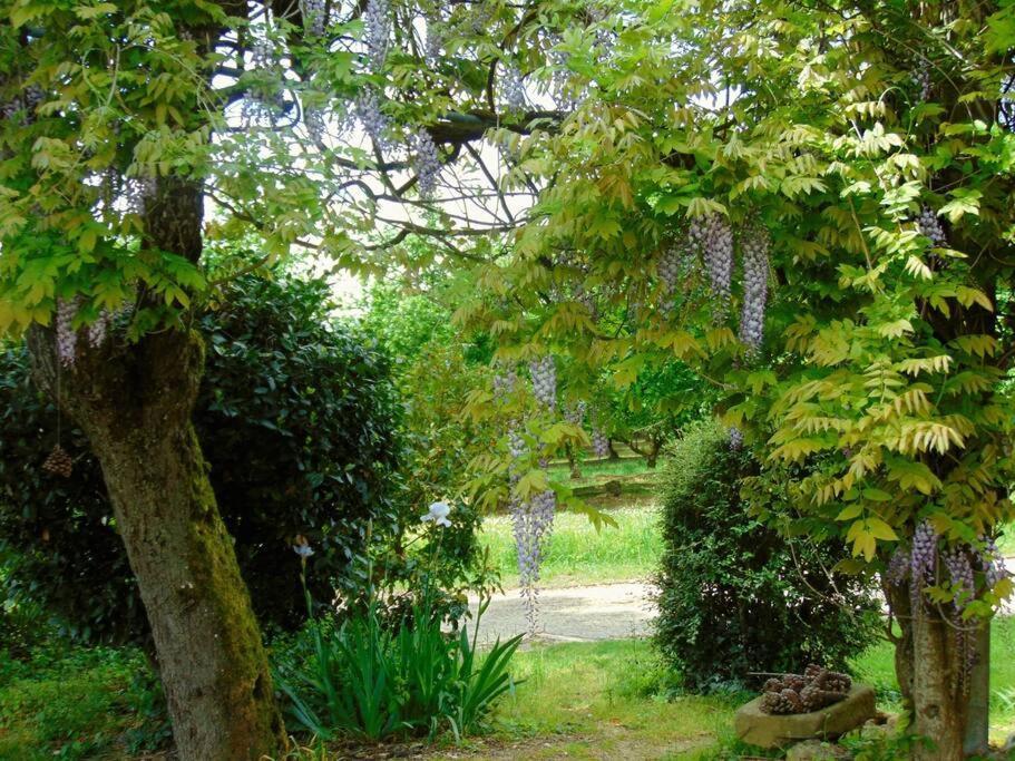Villa Mirathe Baleyssagues Exterior foto